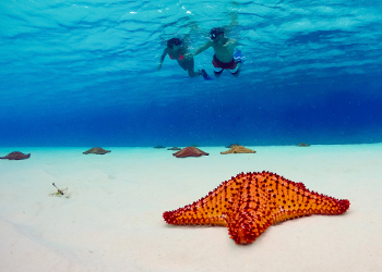 El Cielo Snorkel Cozumel